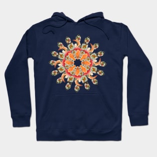 sushi set mandala Hoodie